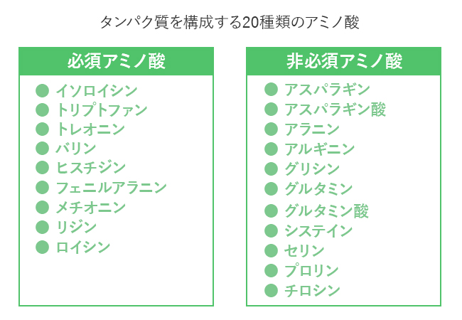 アミノ酸分類